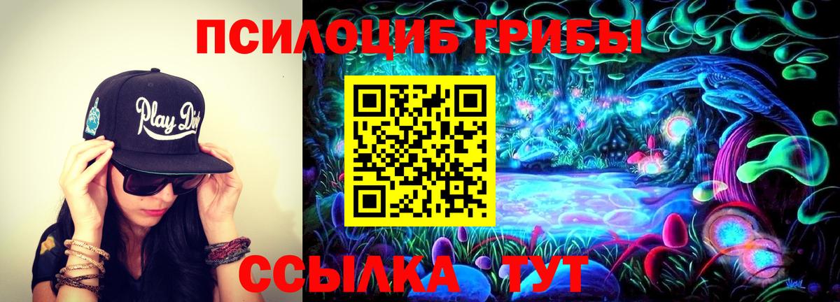 Галлюциногенные грибы прущие грибы Красногорск