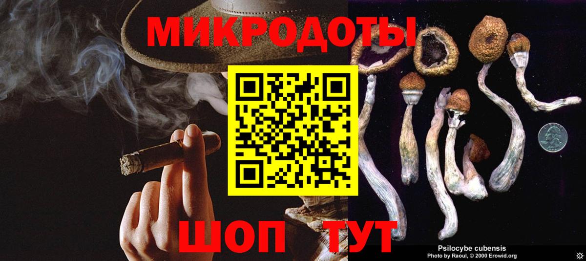 Галлюциногенные грибы прущие грибы  Вход с VPN  Красногорск  Галлюциногенные грибы Magic Shrooms 